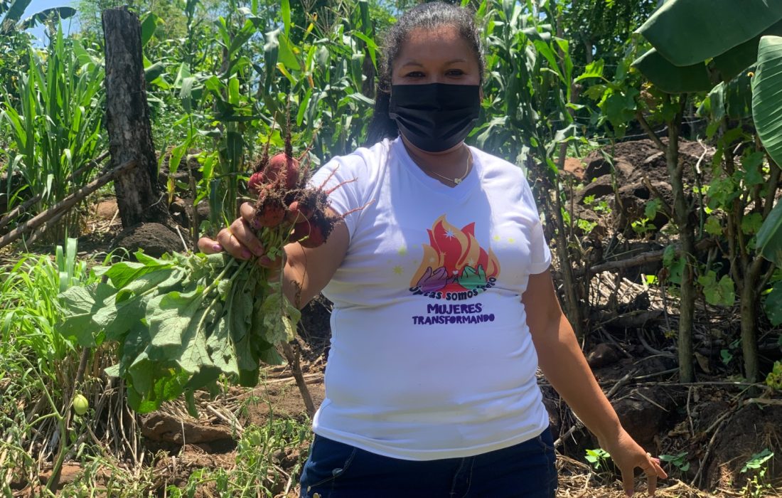 En Santa Cruz Michapa, la vida transcurre entre cultivos, pequeñas economías familiares y redes de apoyo que nacen de la fuerza de las mujeres. En este municipio de Cuscatlán, la comunidad y el trabajo cotidiano siguen siendo los hilos que sostienen la vida, a pesar de los cambios, las brechas y los silencios que han marcado los últimos años.